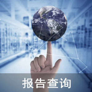 报告查询